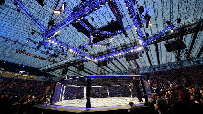 The UFC Octagon